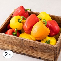 곰곰 국내산 못난이 파프리카, 2kg, 2개