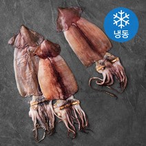 해선생 구룡포 반건조 오징어 3미 (냉동), 270g, 1개