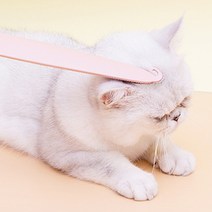 티에프펫 고양이 빗 그루밍 스틱, 핑크, 1개