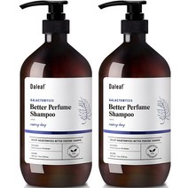 달리프 갈락토미세스 베러 퍼퓸샴푸 레이니데이향, 1000ml, 2개