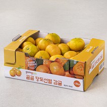 곰곰당도선별 감귤, 1.5kg, 1박스