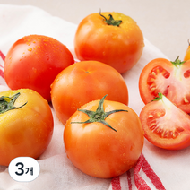 용산과일나라 완숙토마토, 1.2kg, 3개