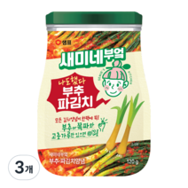 새미네부엌 부추 파김치 양념, 120g, 3개