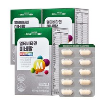 셀트리온 이너랩 멀티비타민 미네랄 이지퍼펙트, 60정, 3개