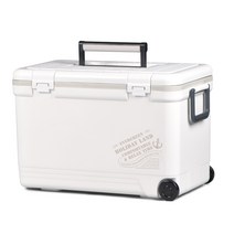 신와 홀리데이 아이스 박스, 화이트, 33L