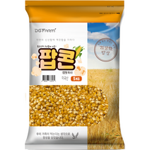 팝콘용 옥수수, 5kg, 1개