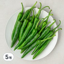 곰곰 국내산 풋고추, 300g, 5개