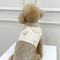 펫츠랜드 강아지 오데트 카라 하네스, 아이보리