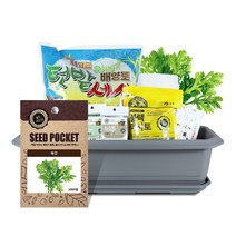 바이오필리아 채소 텃밭세트 + 식물 이름표 랜덤발송, 쑥갓