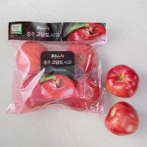 프레샤인 충주 GAP 인증 고당도 사과, 1.2kg(4~8입), 1봉