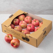 하이프루츠 저탄소 인증 의성 사과, 3kg (12~16입), 1박스