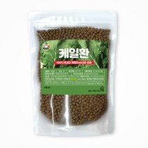 백장생 케일환, 300g, 1개