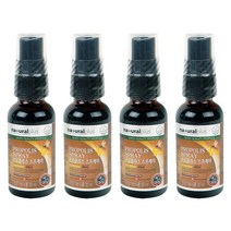 내츄럴플러스 프로폴리스 스프레이, 30ml, 4개