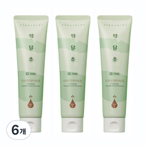 약담초 잇몸 치약, 120g, 6개