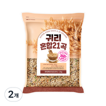 현대농산 귀리혼합21곡, 2kg, 2개