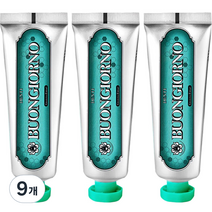 아토세이프 덴티 본조르노 민트향 구취케어 치약, 100g, 9개