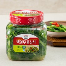 종가집 아삭백열무 물김치 PET, 1.2kg, 1개