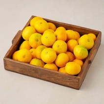 곰곰 농협 당도선별 하우스 감귤, 2.5kg, 1박스