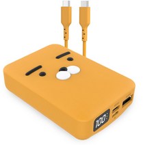 카카오프렌즈 사각 PD 20W 포켓 퀵 보조배터리 10000mAh, WI22-PB10K-01, 라이언