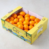 탐라황감 당도선별 서귀포 하우스 감귤, 4kg, 1개