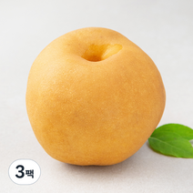 곰곰 국내산 배, 3팩