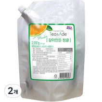 다미즐 갈아만든 청귤, 2kg, 1개입, 2개