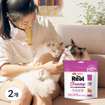 하림더리얼 고양이 크리미 연어 앤 닭가슴살 파우치 10g x 25p, 연어 + 닭고기 혼합맛, 250g, 2개