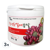 메디영 천년초 열매 분말, 3개, 200g