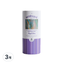 켄트로얄 초 극세모 칫솔 로얄샤인, 3개, 10개입