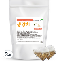 천지가약초 삼각티백 생강차, 1g, 100개입, 3개