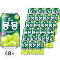 해태htb 포도 봉봉, 340ml, 48개
