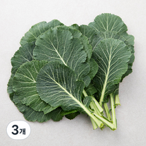 GAP인증 케일, 400g, 3개