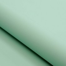 BL 알파 키즈 인조가죽 원단, 2173
