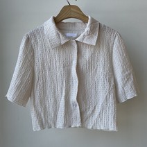 데일리 젤리 카라 크롭 반팔 블라우스