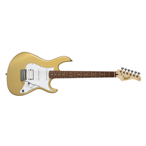 콜트 G250 일렉 기타 + 구성품 11종 세트, CHAMPAGNE GOLD METALLIC