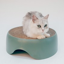 멍해묘해 고양이 올랑올랑 스크래쳐 하우스 대형, 그린, 1개