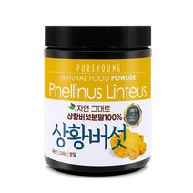 퓨어영 상황버섯 분말, 1개, 110g