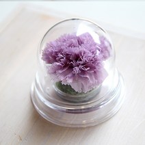 아크릴돔 프리저브드 카네이션, 라벤더