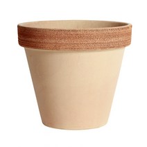 도시정원 이태리 디그리아 토분, 바소 스크래치 그래피도