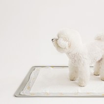 바잇미 강아지 논슬립 실리콘 배변매트 표준형, 그레이, 1개