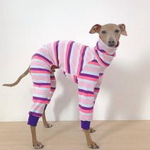 도기스타 이탈리안그레이하운드 단가라 올인원, 핑크 + 보라