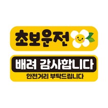 제제데코 초보운전 자동차 탈부착 자석 고휘도 반사 스티커 시트지 미디엄 E230 EC019 + EC043 세트, 혼합색상, 2개입