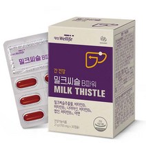 대상웰라이프 밀크씨슬 B파워 21g, 1개, 30정