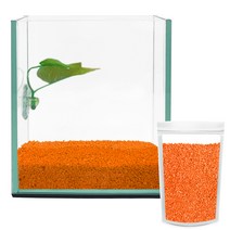 아쿠아테라 베타 유리어항 + 베타침대 + 컬러스톤 1kg CH-G150, 주황색(컬러스톤)