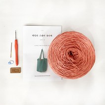 데일리 스퀘어 빅백 DIY 키트, 1세트, 605 진살구