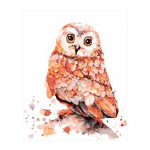 아이러브페인팅 복을 부르는 부엉이 그림 DIY, 혼합색상
