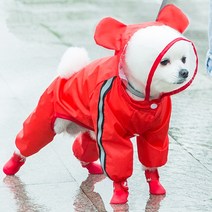 반려동물 소형 우비, 04 붉은 곰