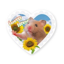 유스픽 판타스틱 애니멀 레이스 아크릴 그립 스마트 톡톡 휴대폰 거치대, 1개, 썬플라워 햄스터