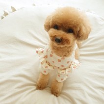 바이굄 반려동물 러블리 어깨프릴 티셔츠, 아이보리