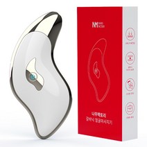 나무팩토리 갈바닉 얼굴 마사지기, BH-1217, 화이트